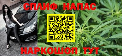 индика Дубна