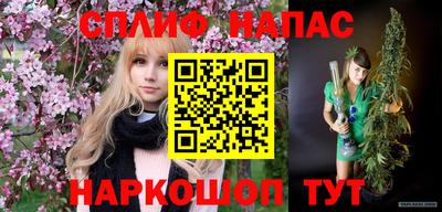 индика Дубна