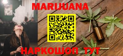 индика Дубна