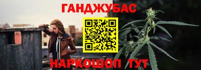 индика Дубна