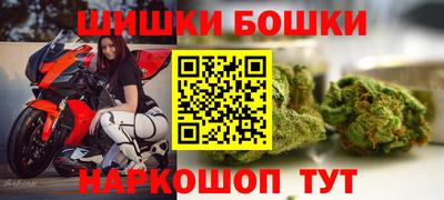 индика Дубна