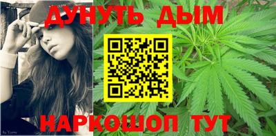 индика Дубна