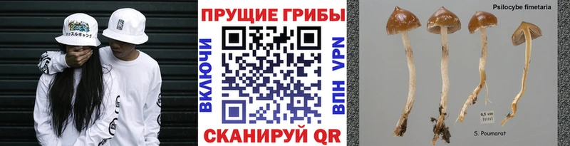 Галлюциногенные грибы ЛСД  Клинцы 