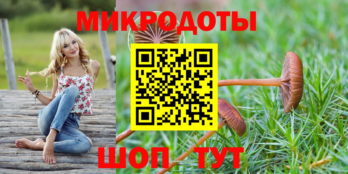наркота  Псилоцибиновые грибы Psilocybe  Вход с VPN  Галлюциногенные грибы мухоморы  Клинцы 
