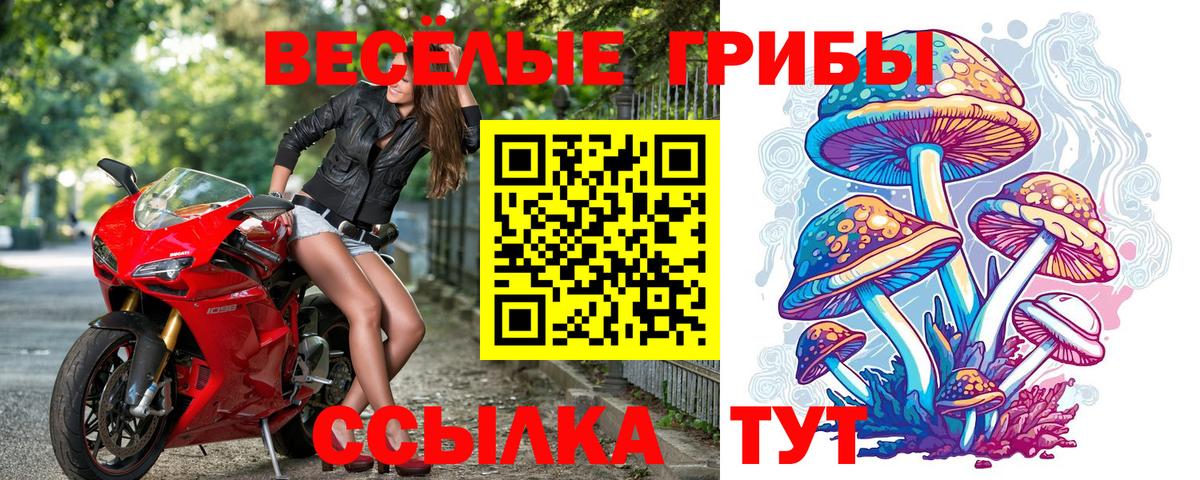 Галлюциногенные грибы Cubensis Клинцы