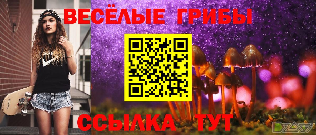 Галлюциногенные грибы ЛСД  Клинцы  Галлюциногенные грибы мухоморы 