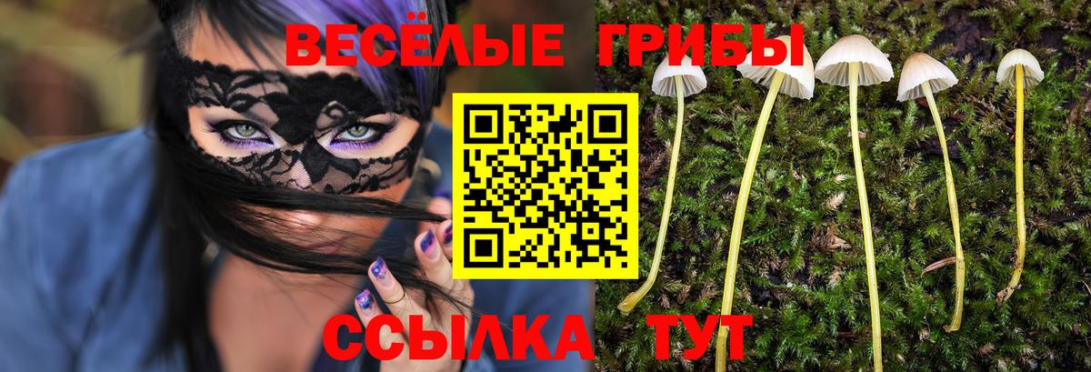 Псилоцибиновые грибы MAGIC MUSHROOMS Клинцы