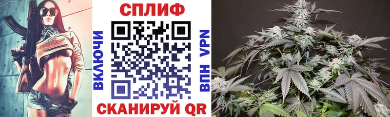 купить наркотики цена  Клинцы  МАРИХУАНА Amnesia 